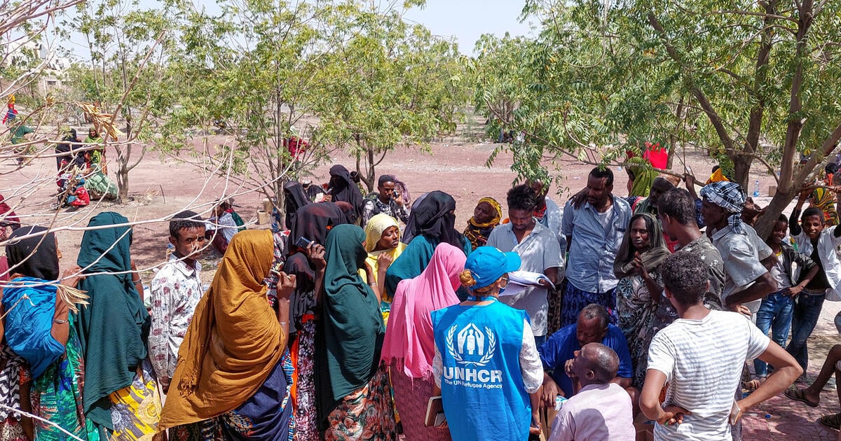 We Can Aenean privileged to Help This People in Needleo Blog.